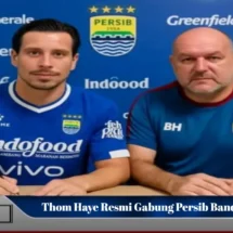 Thom Haye Persib Bandung